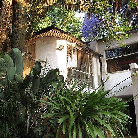 יוהנסבורג Rosebank Hostel מראה חיצוני תמונה